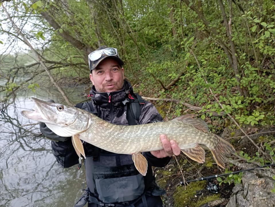 Brochet
