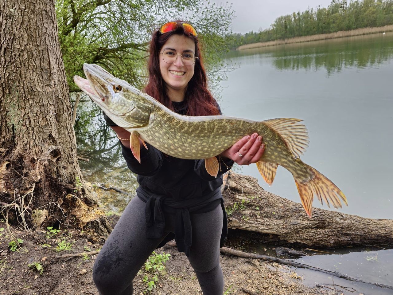 Brochet