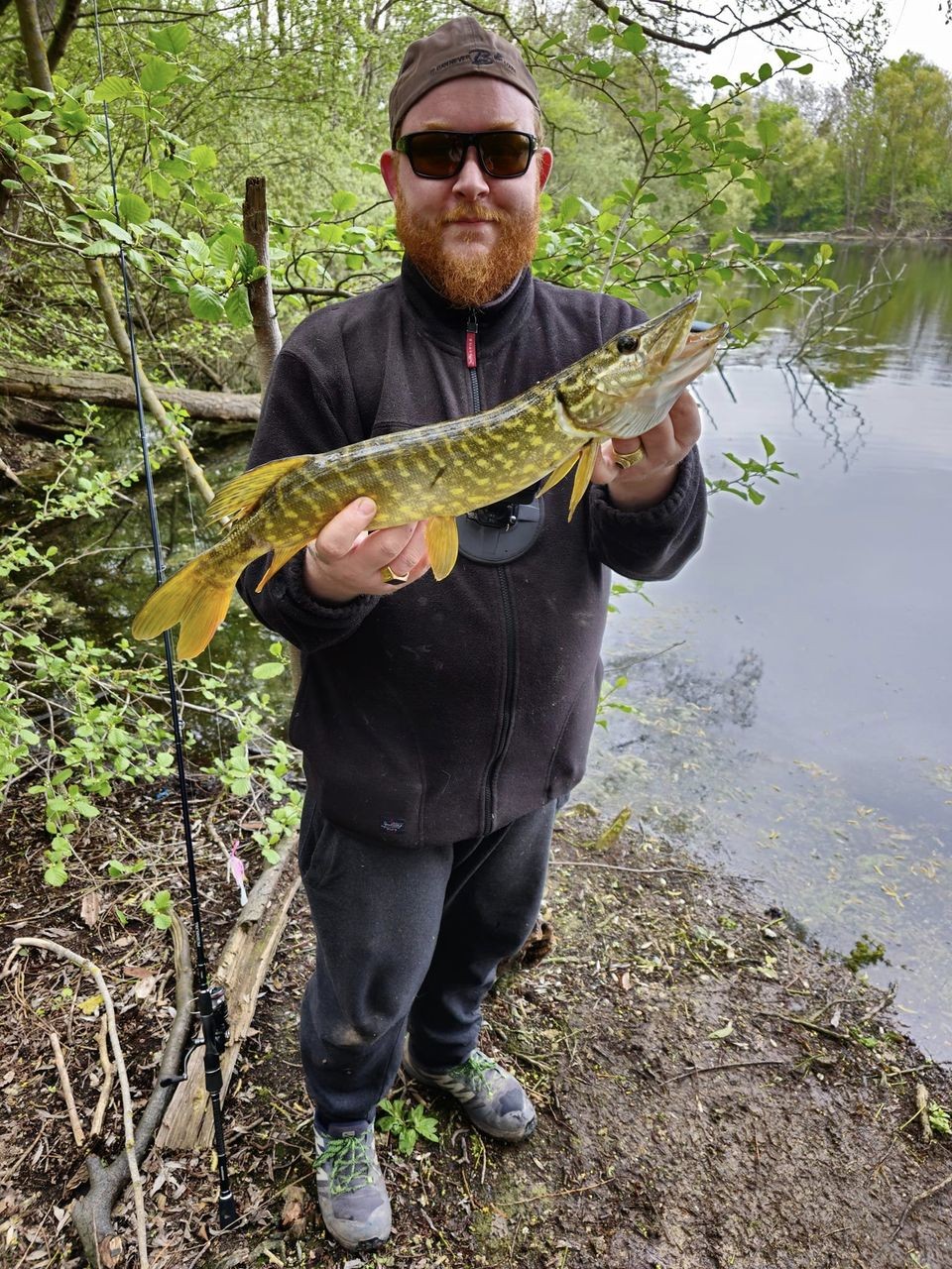 Brochet