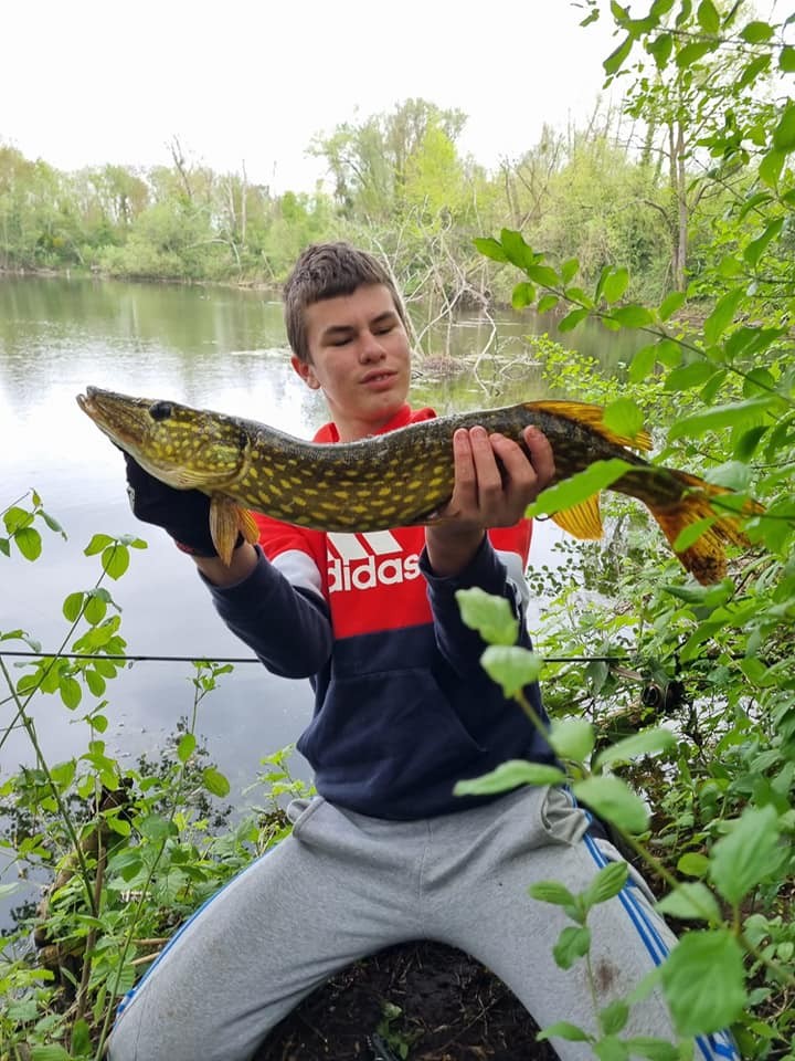 Brochet