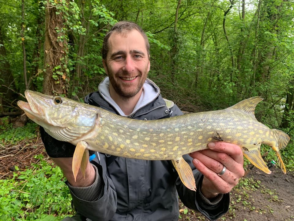 Brochet