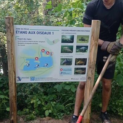 pose des panneaux avec des bénévoles