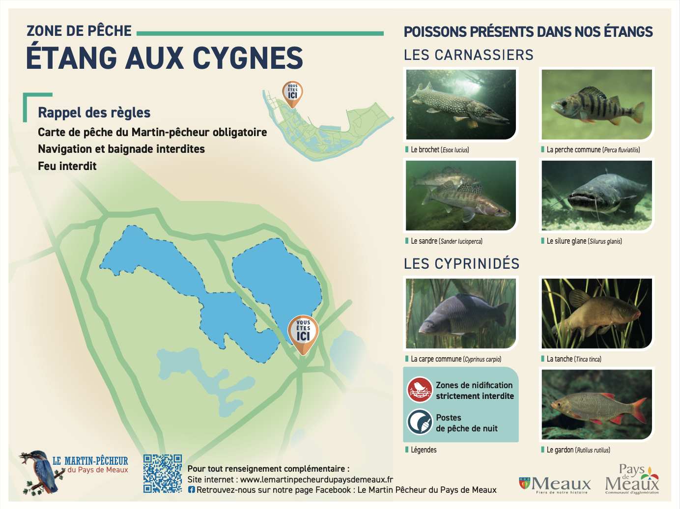 Etang aux cygnes