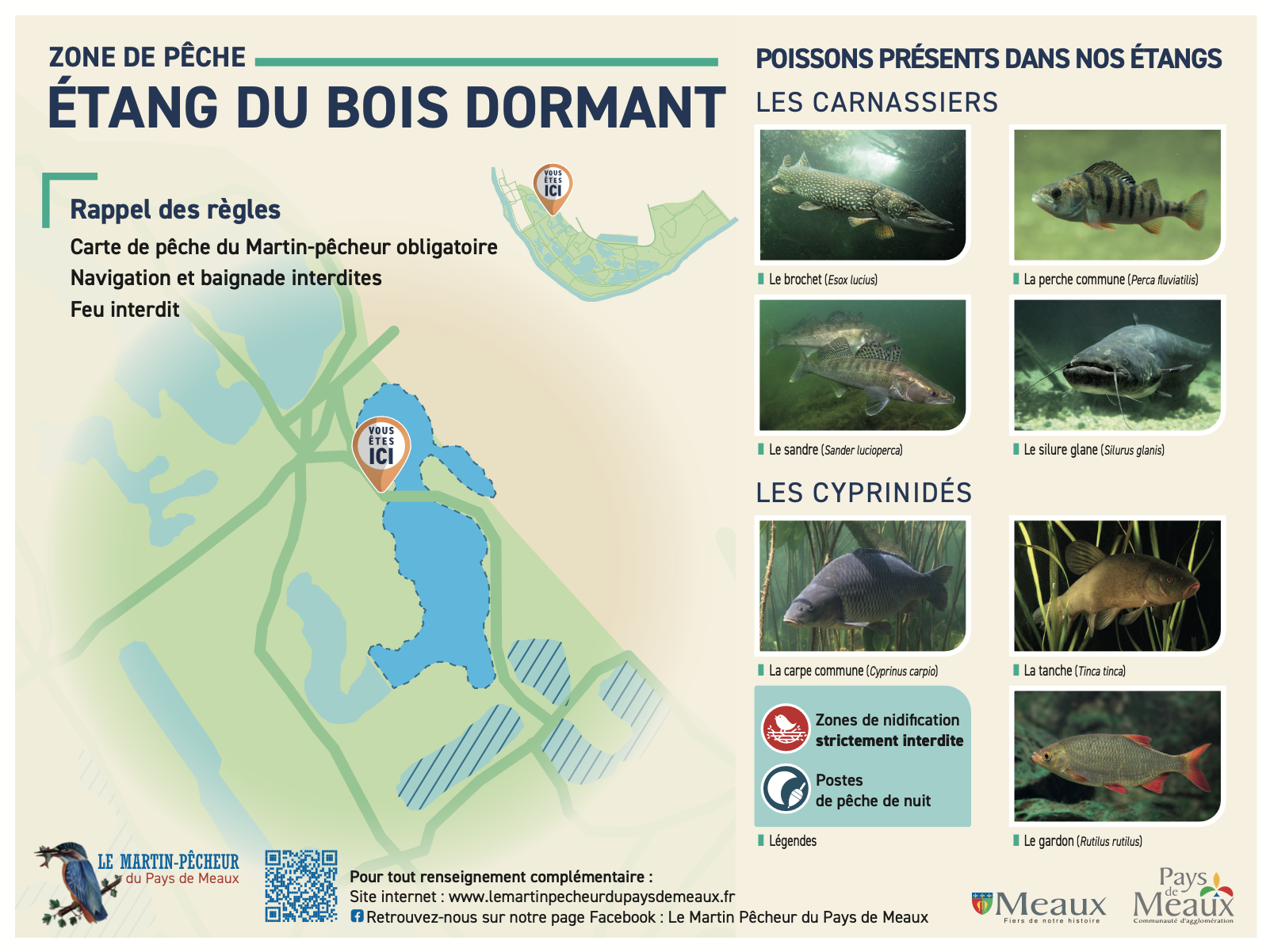 Etang du bois dormant