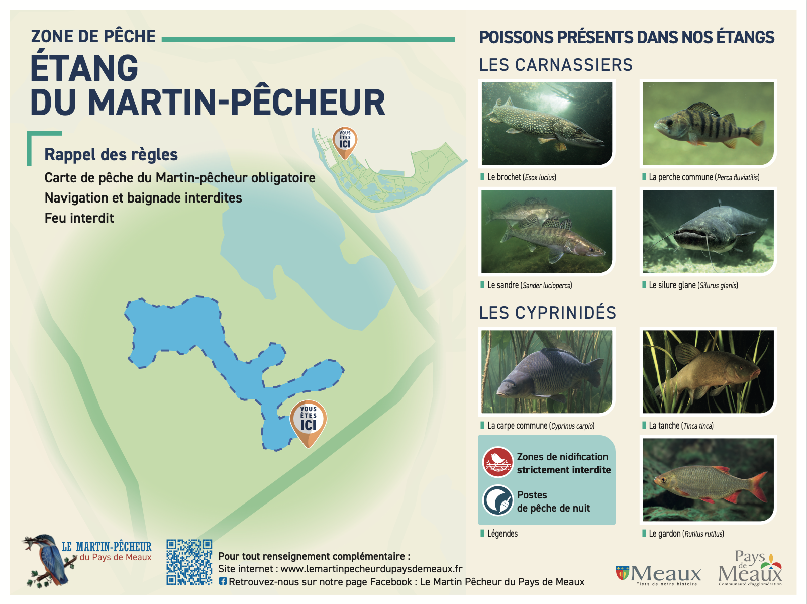 Etang Martin pêcheur