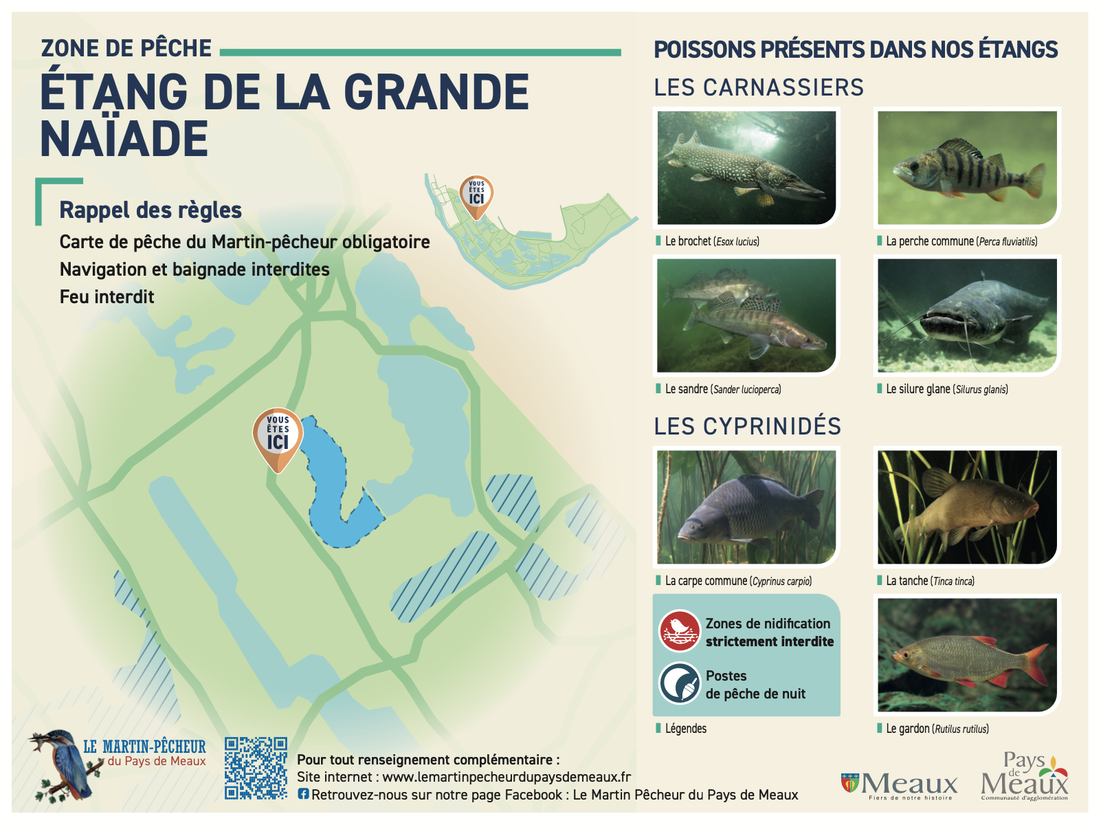 Patis Etang grande naiade
