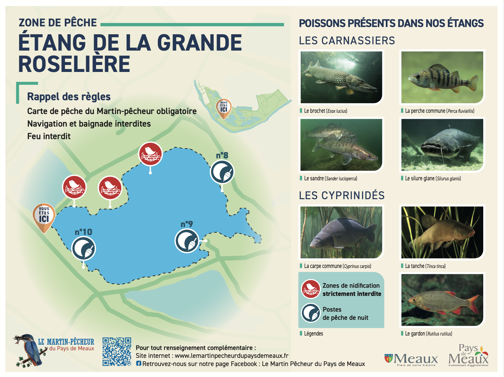 Etang grande roseliere