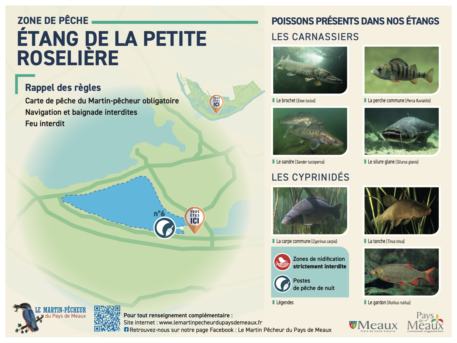 Etang petite roseliere