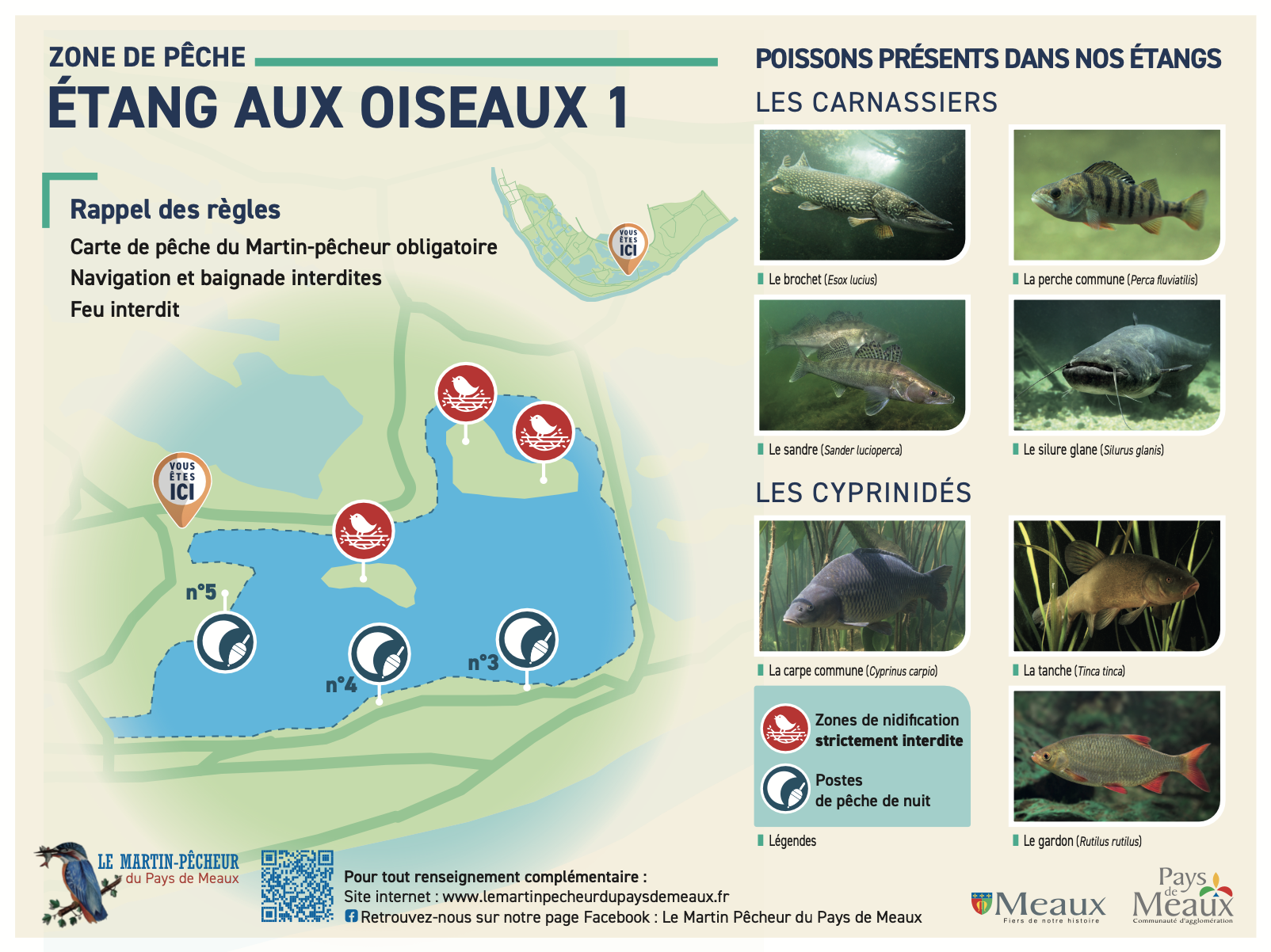 Etang aux oiseaux 1